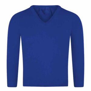 Plain Royal V-Neck Jumper